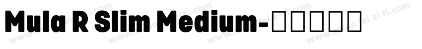 Mula R Slim Medium字体转换